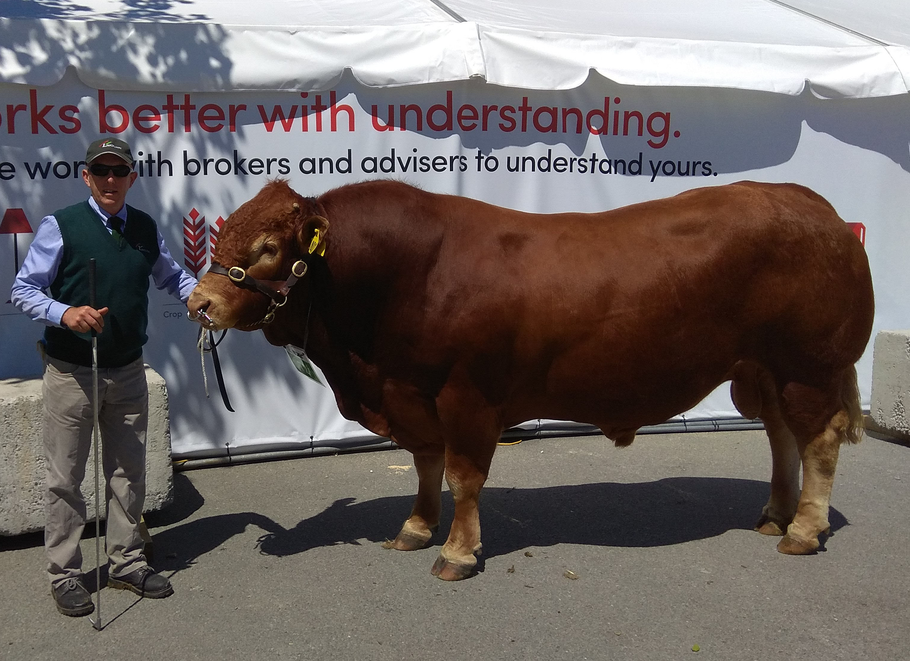 Canterbury A&P Show 2017